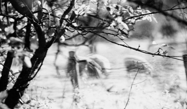 Justin Cooper Beauty Photographer Photography Photo Art Magazine Editorial Advertising Skin Hair Makeup Cosmetics