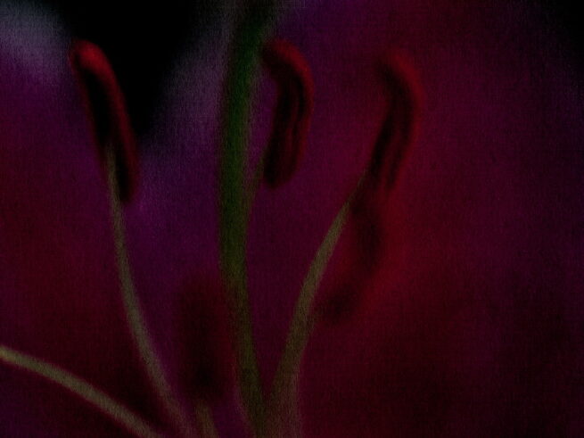 Justin Cooper Beauty Photographer Photography Photo Art Magazine Editorial Advertising Skin Hair Makeup Cosmetics